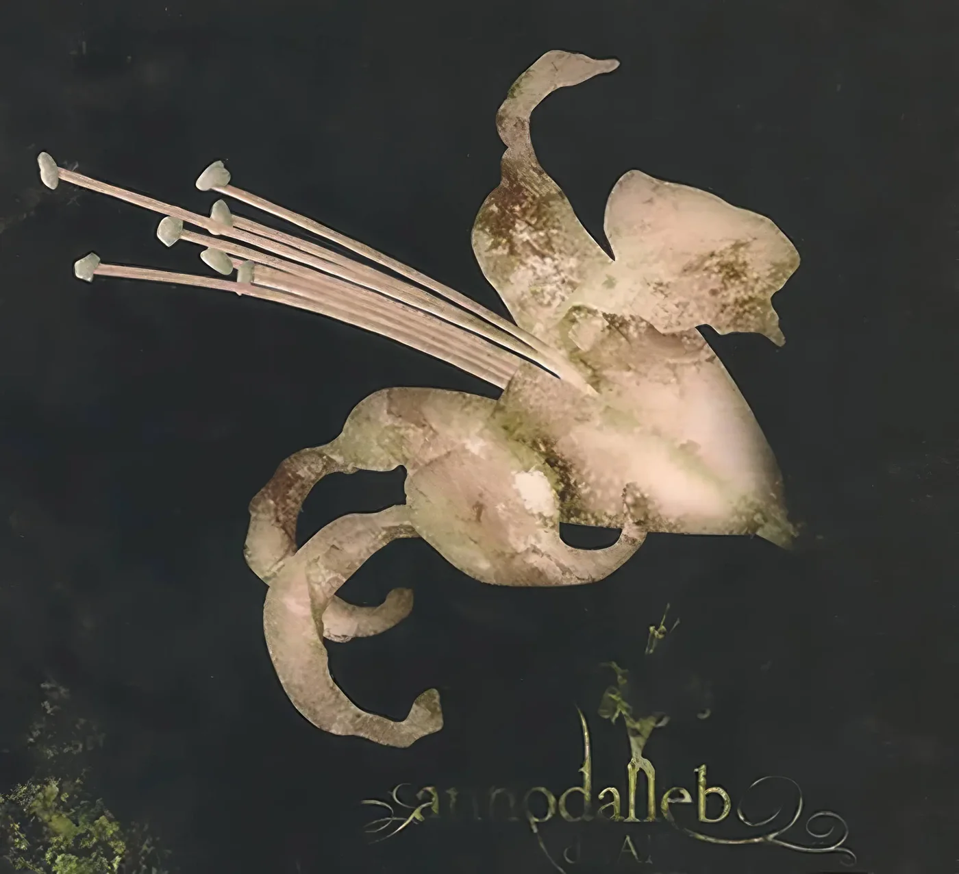 Annodalleb artwork: a winged figure in sepia tones
